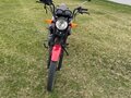 2021 Racer Tiger, красный - вид 1