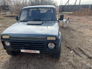 2002 Lada (ВАЗ) 2131 (4x4) I, зелёный, 95000 рублей, вид 1