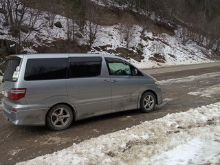 2006 Toyota Alphard I Рестайлинг, серый, 2110112 рублей, вид 5