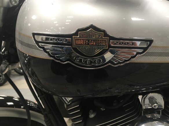 2003 Harley-Davidson Dyna Low Rider, серебристый, 1050000 рублей - вид 5