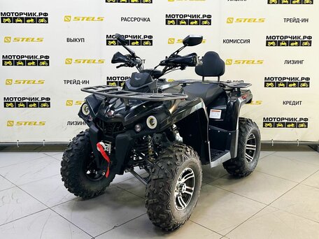 2025 Bison Hammer 250 PRO, чёрный, 252990 рублей, вид 1