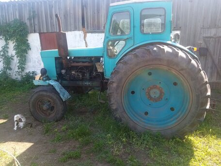 1988 ЛТЗ Т-40АМ, зелёный, 300000 рублей, вид 4