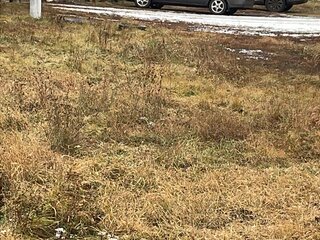 2005 Mitsubishi Lancer IX, серый, 400000 рублей, вид 3