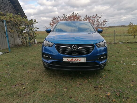 2018 Opel Grandland I (X), синий, 1288610 рублей - вид 8