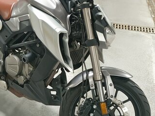 2020 Regulmoto Alien Monster, серебристый, 220000 рублей, вид 4