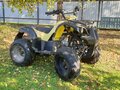 2013 Irbis ATV 125U, жёлтый, 55000 рублей - вид 2