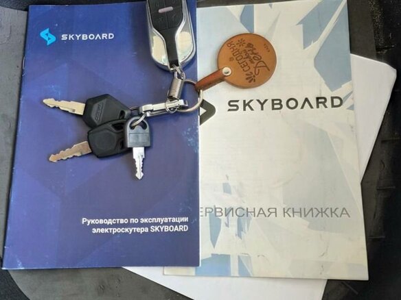 2024 Skyboard BR30-2WD Pro, синий, 140000 рублей - вид 10