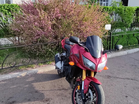 2006 Yamaha FZ1, красный, 500000 рублей, вид 2