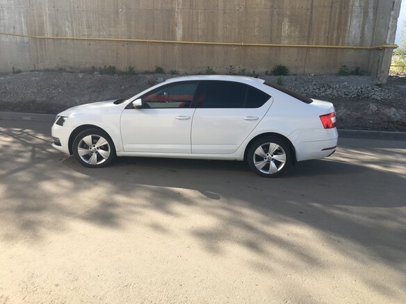 2017 Skoda Octavia III (A7) Рестайлинг, белый, 1350000 рублей - вид 6