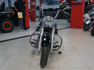 2010 Harley-Davidson Heritage, чёрный, 855000 рублей, вид 4
