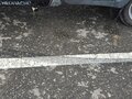 2010 ГАЗ ГАЗель (3302), белый, 1350000 рублей - вид 5