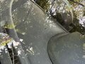 2005 Toyota Passo I (C10), чёрный, 400000 рублей - вид 8