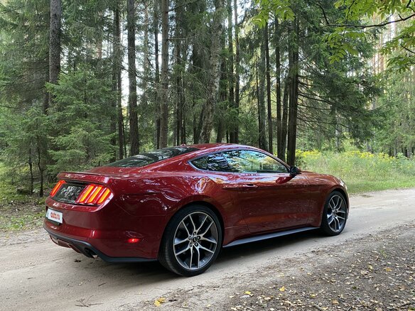 2016 Ford Mustang VI, красный - вид 10