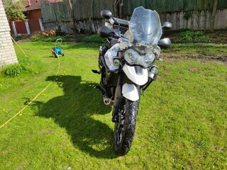 2017 Triumph Tiger 800, белый, 910000 рублей, вид 2