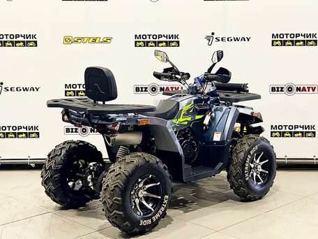 2026 Motoland Wild Track 200 X Pro, серый, 219000 рублей, вид 3