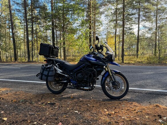 2012 Triumph Tiger 800, синий, 550000 рублей - вид 6