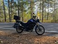 2012 Triumph Tiger 800, синий, 550000 рублей - вид 6