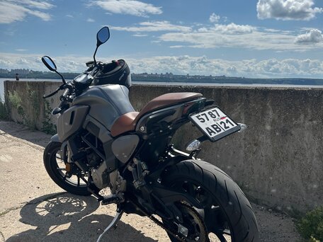 2020 Regulmoto Alien Monster, серый, 275000 рублей, вид 4