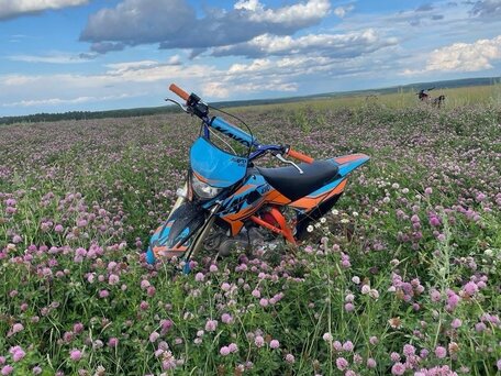 2023 Kayo Evolution YX140EM, синий, 85000 рублей, вид 1