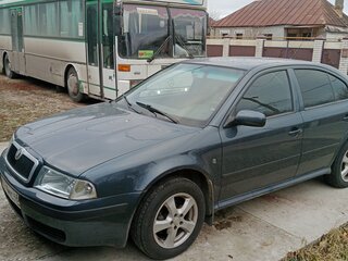 2008 Skoda Octavia I (A4) Рестайлинг, серый, 520000 рублей, вид 1