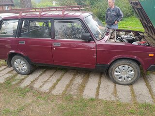 2002 Lada (ВАЗ) 2104 4-speed, пурпурный, 120000 рублей, вид 4