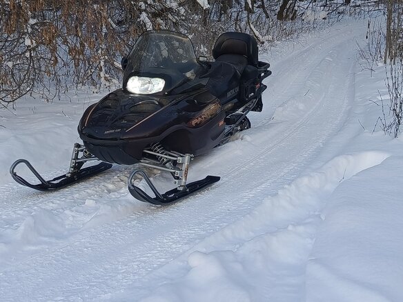 2003 Arctic Cat Pantera, коричневый, 630000 рублей