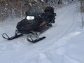 2003 Arctic Cat Pantera, коричневый, 630000 рублей