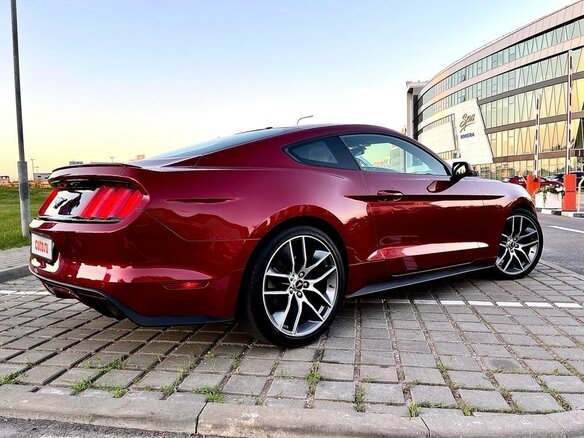 2016 Ford Mustang VI, красный - вид 20
