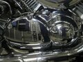 2001 Yamaha XVS1100, белый, 600000 рублей - вид 1