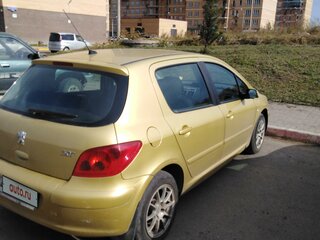 2003 Peugeot 307 I, золотистый, 410000 рублей, вид 4