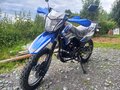 2025 Sycmmc 250, синий, 120000 рублей