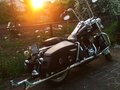 2005 Harley-Davidson Road King, чёрный, 1200000 рублей - вид 10