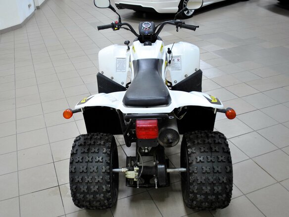 2017 Stels ATV-110, белый - вид 4