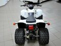 2017 Stels ATV-110, белый - вид 4