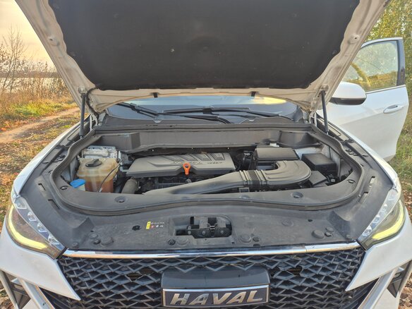 2023 Haval F7 I Рестайлинг, белый, 1250000 рублей - вид 7
