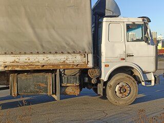 2003 МАЗ 4370, серый, 550000 рублей, вид 3