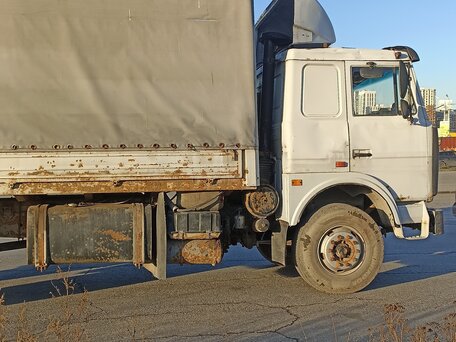 2003 МАЗ 4370, серый, 550000 рублей, вид 3