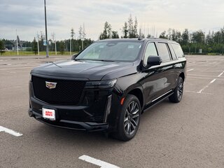 2020 Cadillac Escalade ESV V, чёрный, 8700000 рублей, вид 3