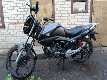 2014 Irbis GS 200, серебристый, 70000 рублей, вид 2