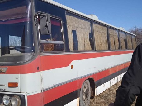 1988 Ikarus 250, красный, 550000 рублей, вид 1