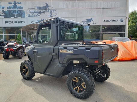 2025 TGB Landmax 1000, синий, 2590000 рублей, вид 3