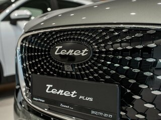 2026 Tenet Plus L6, серебристый, 3040000 рублей, вид 5