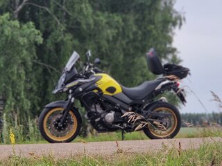 2018 Suzuki V-Strom DL 650, жёлтый, 840000 рублей, вид 4