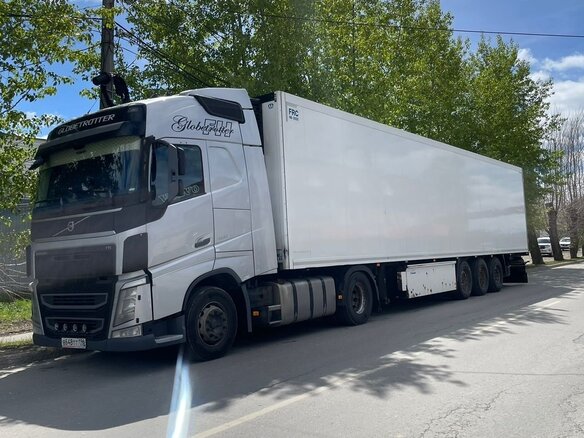2015 Volvo FH, серый, 5500000 рублей - вид 2
