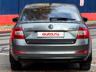 2017 Skoda Octavia III (A7), серый, 1550000 рублей, вид 5