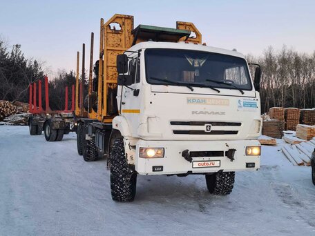 2015 КамАЗ 43118, белый, 5000000 рублей, вид 3