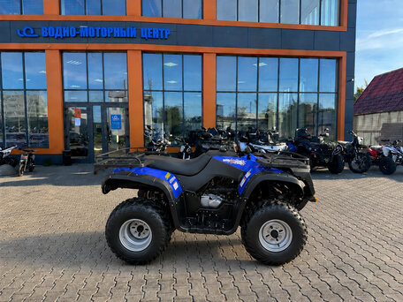2026 Armada ATV 250, синий, 158200 рублей, вид 2
