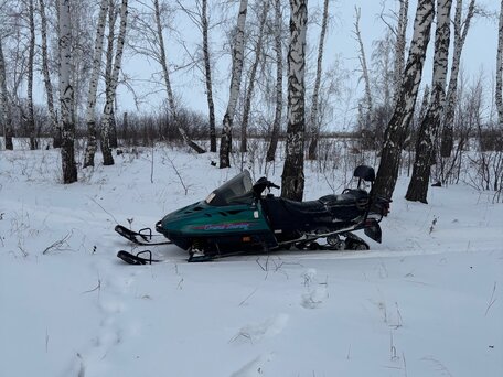 1998 Ski-Doo Grand Touring Limited, зелёный, 410000 рублей, вид 2