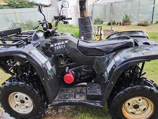 2009 Stels ATV-700H, зелёный, 390000 рублей, вид 4