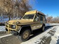 2011 Mercedes-Benz G-Класс 300 Professional I (W461) Professional, жёлтый - вид 1